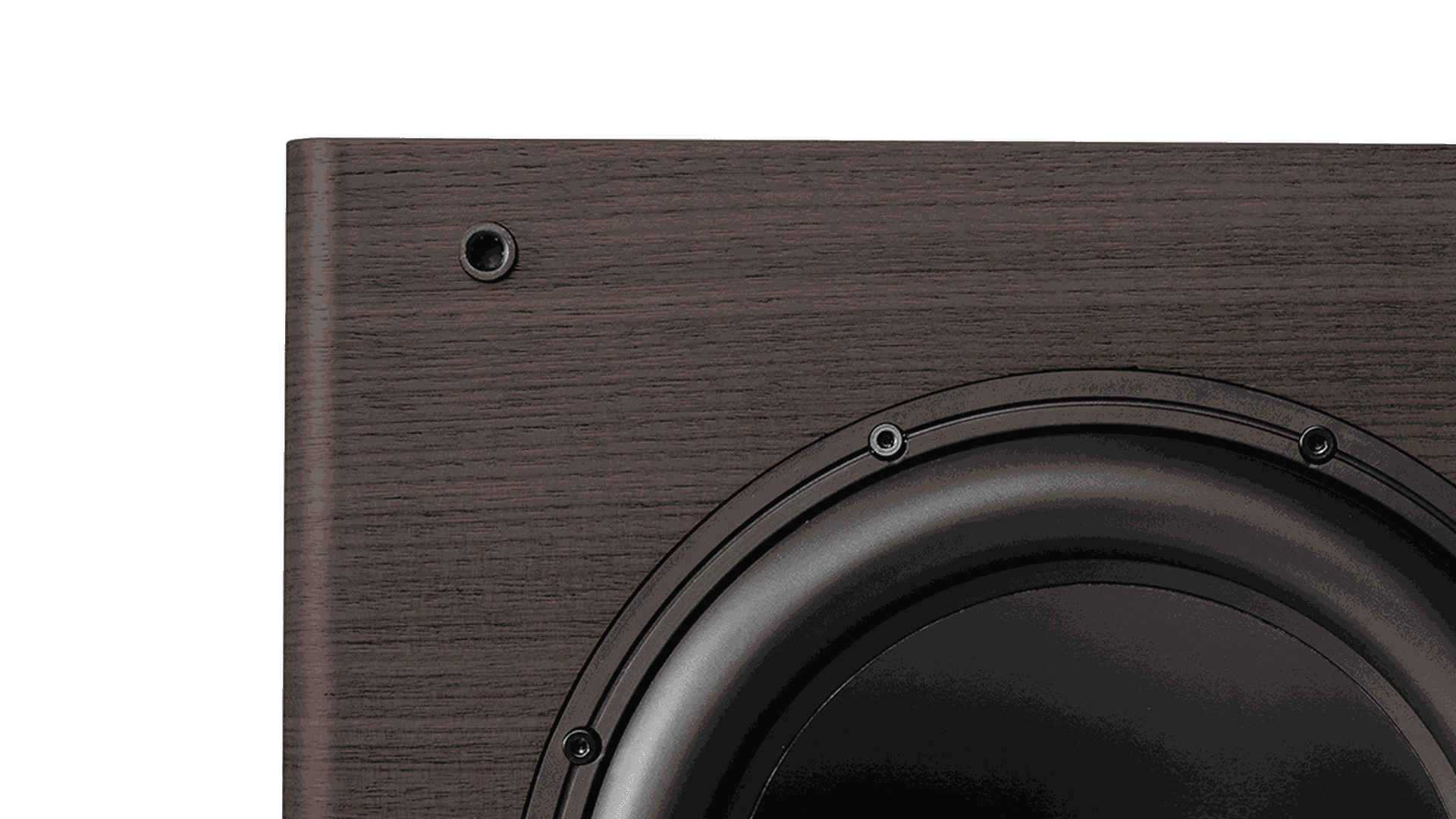 Gravis III Subwoofer Speaker | Sonus faber