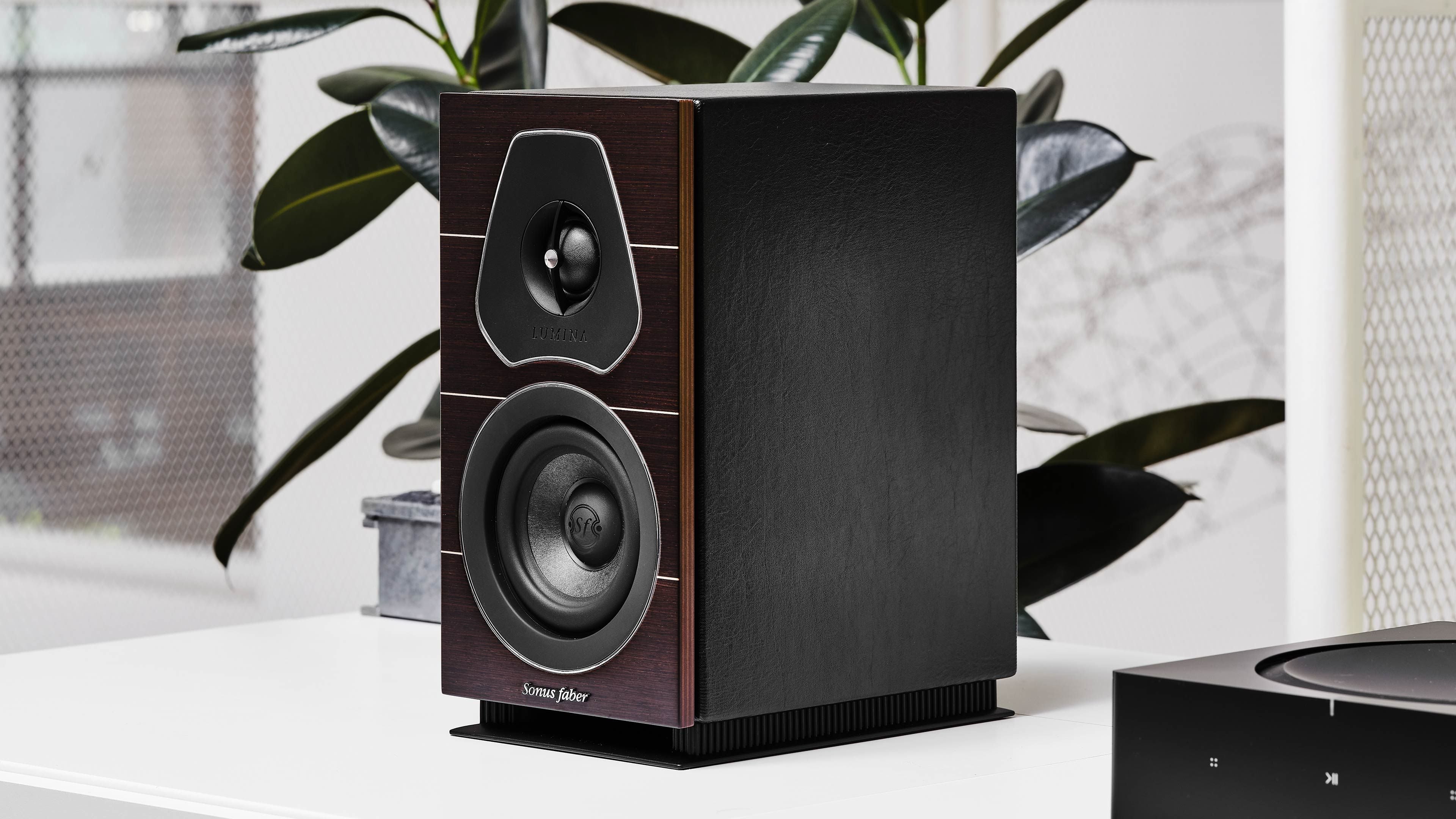 Diffusore da scaffale Sonus faber Lumina I in legno di wengรจ, posizionato con grazia su uno scaffale con giradischi, in armonia con il verde.